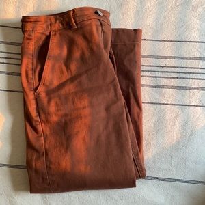 Everlane Strait Leg Crop (altered)